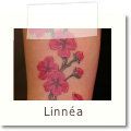 Linnea