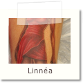 Linnea