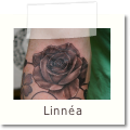 Linnea