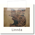 Linnea
